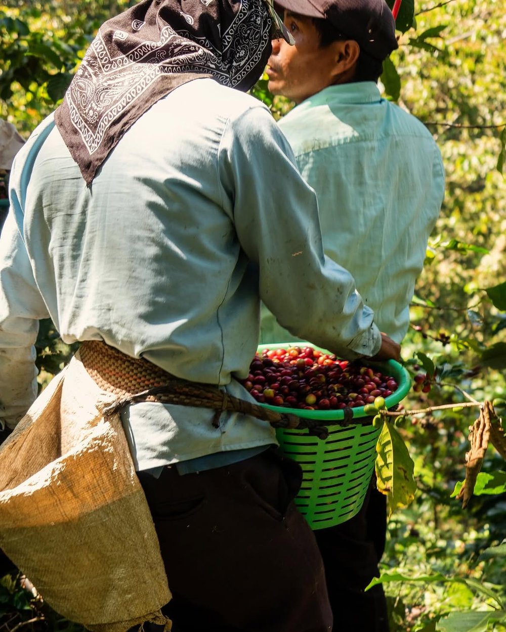 Matthieu Valade sur le terrain avec un partenaire local, sourcing de café dans la réserve de biosphère El Triunfo, Chiapas, Mexique (AHYKA Coffees)